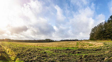 Image showing Rural panorama landscape in the morning