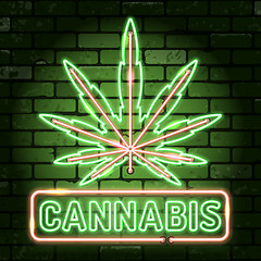 Image showing Cannabis Neon Frames Signboards