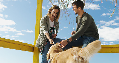 Image showing Group of friends having fun on autumn day at beach