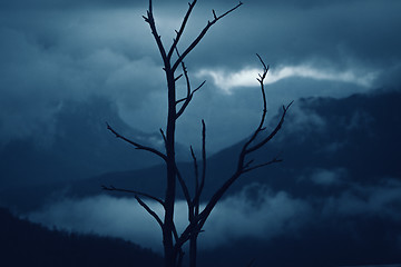 Image showing Blue Mountains after bush fires