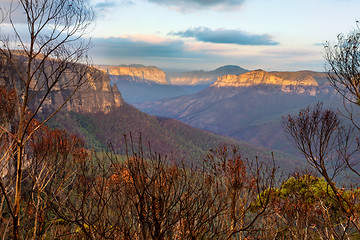 Image showing Blue Mountains escarpment and valley after a bush fire