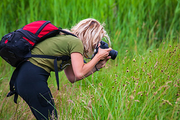 Image showing Woman photographer taking a picture of wild life