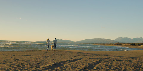 Image showing couple with dog having fun on beach on autmun day