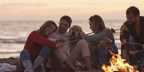 Image showing Group Of Young Friends Sitting By The Fire at beach