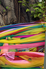 Image showing Decorated tree in Bangkok