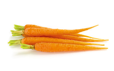 Image showing Carrots