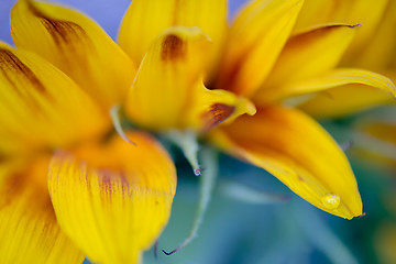 Image showing Macro shot of water drop