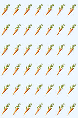 Image showing Vegetables pattern from natural organic carrot root.