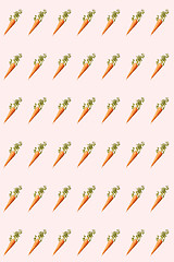 Image showing Organic vegetarian pattern from fresh carrots