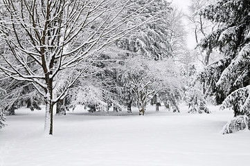 Image showing Winter park