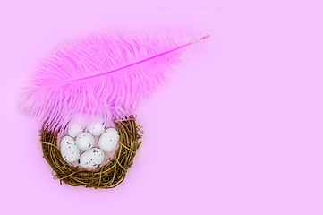 Image showing Pink feather shelters a nest with eggs on a pink background Easter concept.