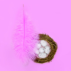 Image showing Pink feather shelters a nest with eggs on a pink background Easter concept.