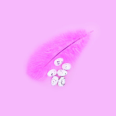 Image showing Eggs on a pink feather on a pink background. Easter concept.