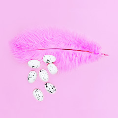 Image showing Eggs on a pink feather on a pink background. Easter concept.