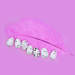 Image showing Eggs on a pink feather on a pink background. Easter concept.