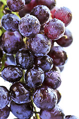 Image showing Red grapes