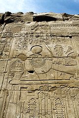 Image showing Ancient stone wall with Egyptian hieroglyphs