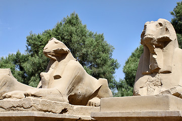 Image showing Statue of Ram Headed Sphinx in Karnak Temple, Luxor, Egypt