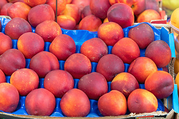 Image showing Nectarines