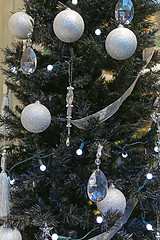 Image showing Black Christmas Tree