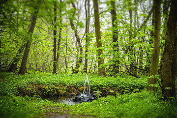 Image showing Small fountain in a green forest in the spring