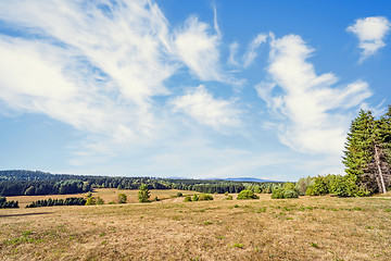 Image showing Dry plains on a hillside in the summer