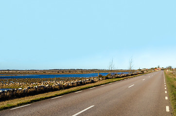 Image showing Straight road to the village