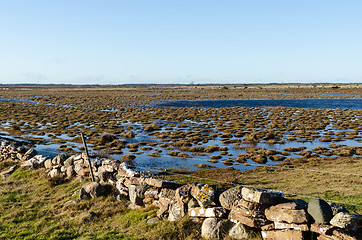 Image showing Wetland with grass tufts and a traditional dry stone wall