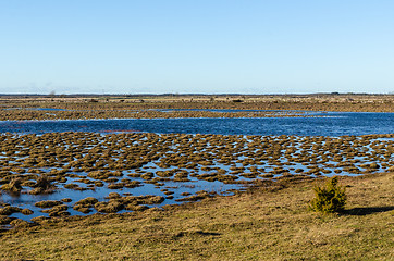 Image showing Flooded landscape with grass tufts