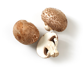 Image showing fresh mushrooms on white background