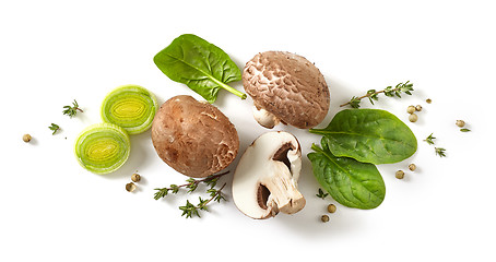 Image showing composition of fresh mushrooms on white background