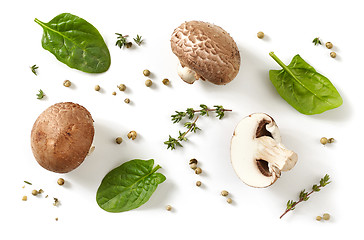 Image showing composition of fresh mushrooms on white background