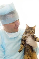 Image showing Veterinarian in a sterile disposable clothes with a kitten in his hands