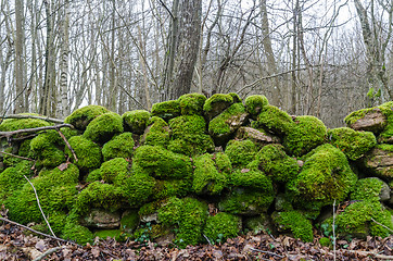 Image showing Ancient mossy green stonewall