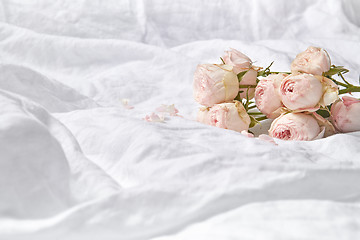 Image showing Roses flowers on crumpled sheets.