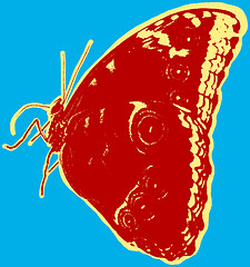 Image showing Butterfly picture