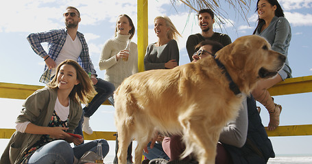 Image showing Group of friends having fun on autumn day at beach