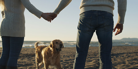 Image showing couple with dog having fun on beach on autmun day