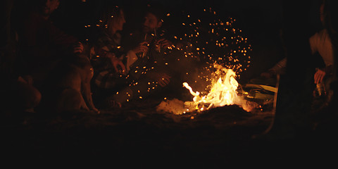 Image showing Couple enjoying with friends at night on the beach