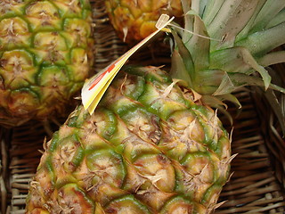 Image showing pineapple