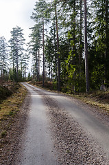 Image showing Winding gravel road in the woods