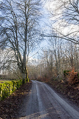 Image showing Old winding gravel road