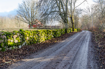 Image showing Dirt road by a mossy dry stone wall