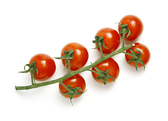 Image showing Tomatoes on white