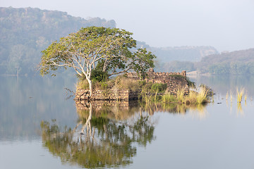 Image showing Jungle India. Ranthambore National Park Rajasthan India. Beautif