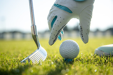 Image showing Hand in glove placing golf ball on tee