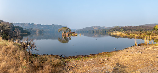 Image showing Jungle India. Ranthambore National Park Rajasthan India. Beautif