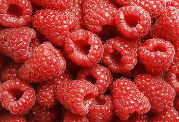Image showing Close-up of fresh red raspberries