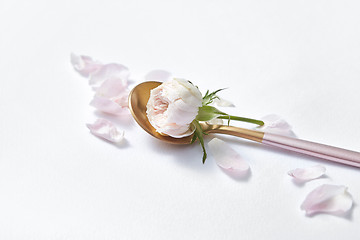 Image showing Dessert spoon with roses and petals.