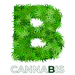 Image showing Cannabis Hemp Leaf Logo